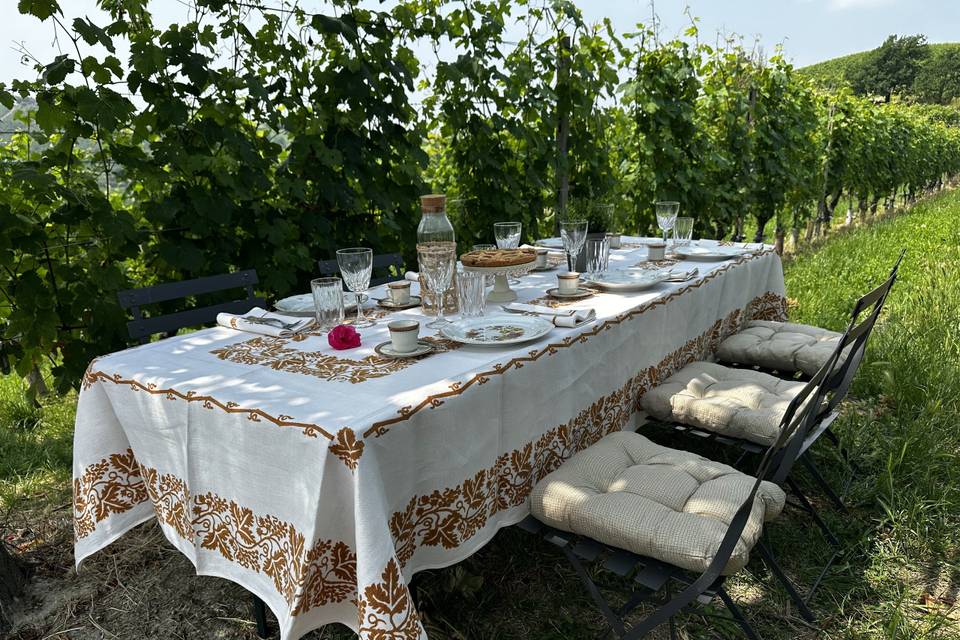 Pic nic allestito in vigna