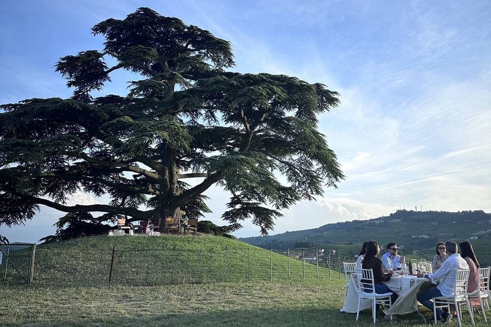 Pranzo al Cedro del Libano 3