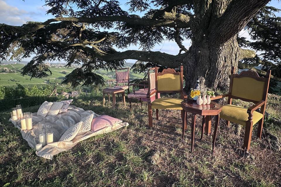 Aperitivo al Cedro del Libano