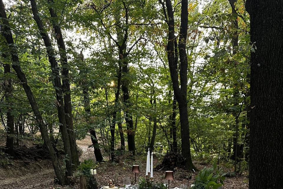 Cena nel bosco