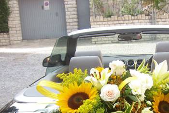 Addobbo auto matrimonio