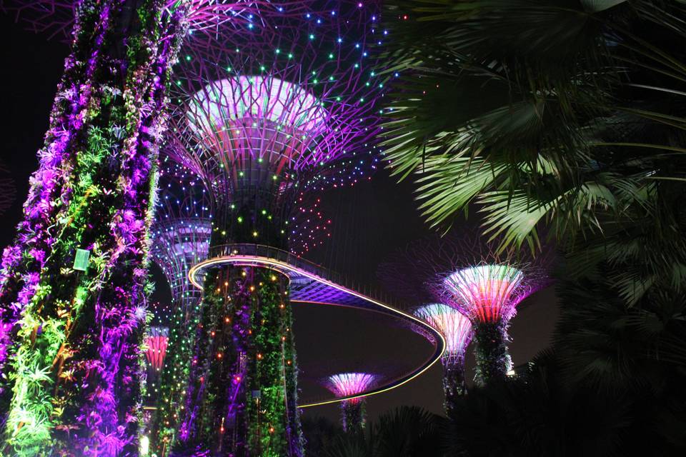 Gardens By The Bay Singapore