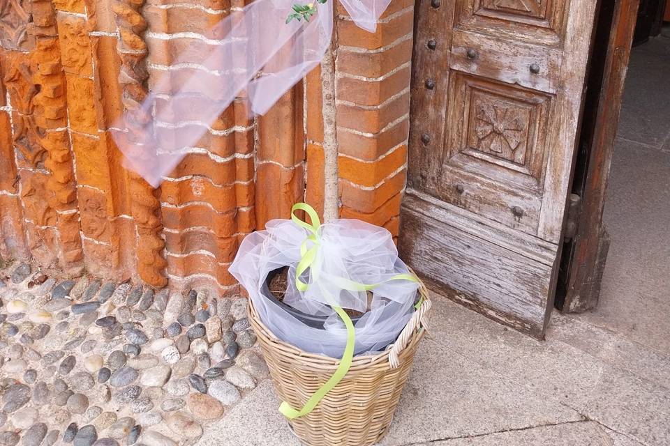 Fioreria Il Bouquet