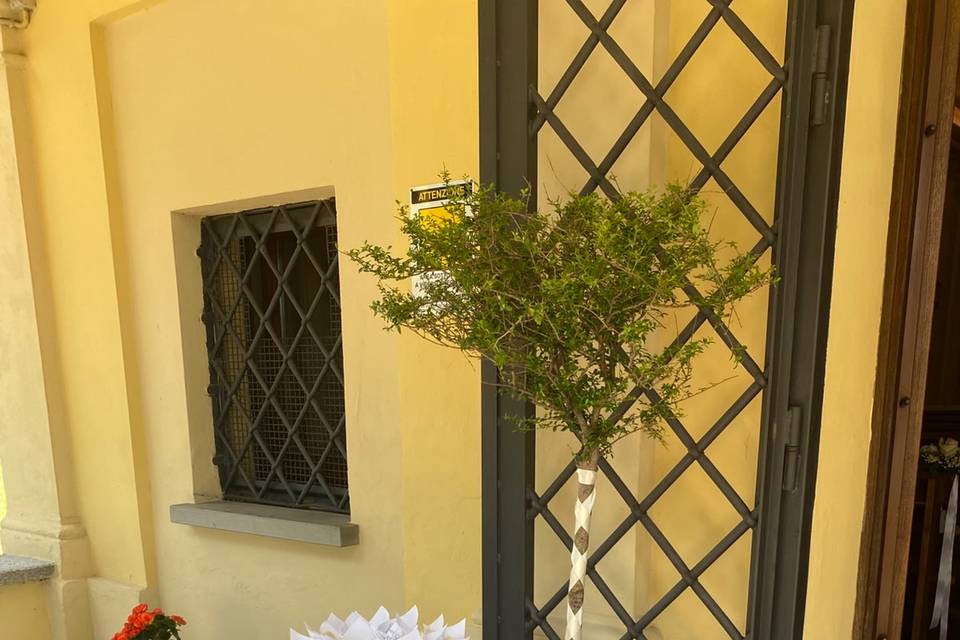 06.06.26 wedding