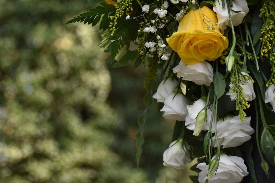 Fioreria Il Bouquet