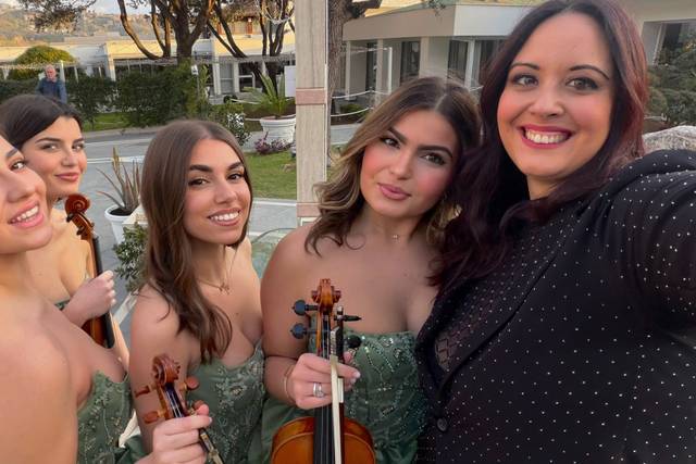 Violin & more