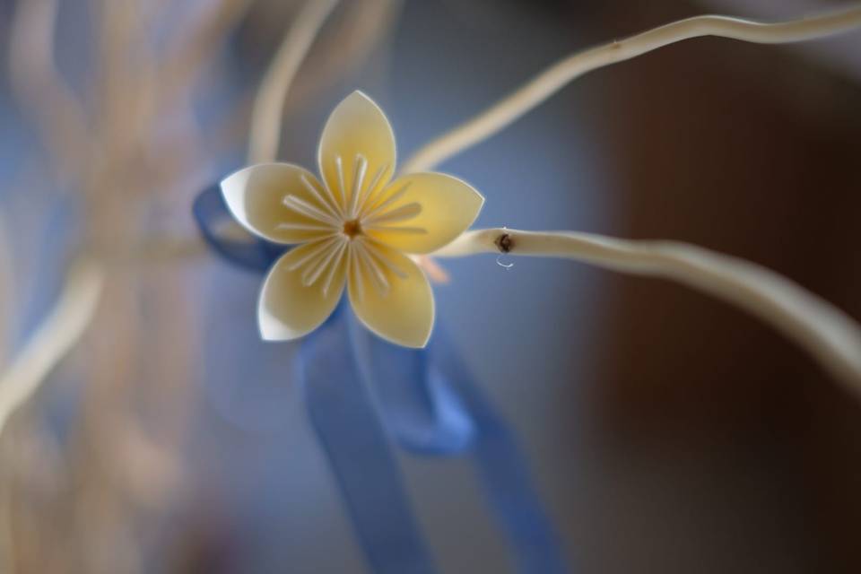 Matrimonio in blu