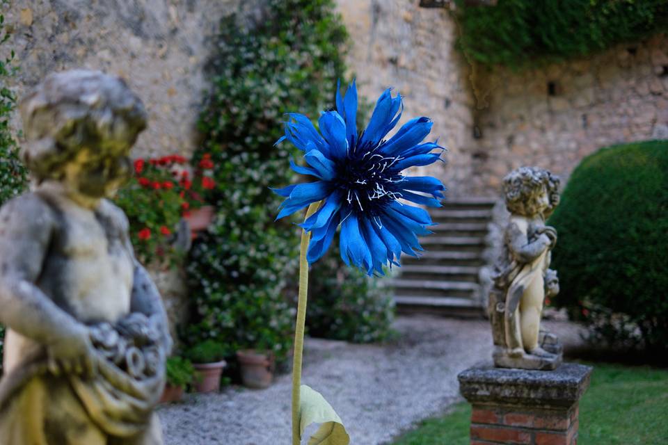 Fiordaliso gigante