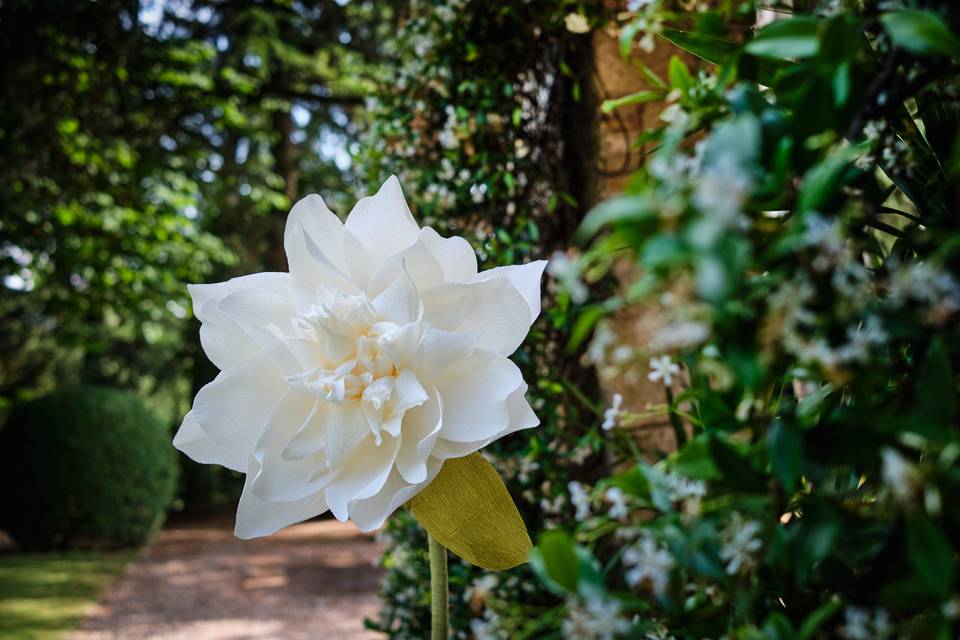 Gardenia gigante decorativa