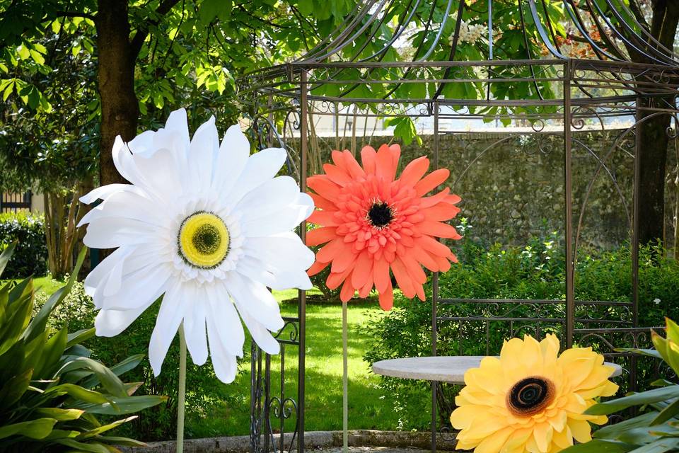 Selezione fiori di campo