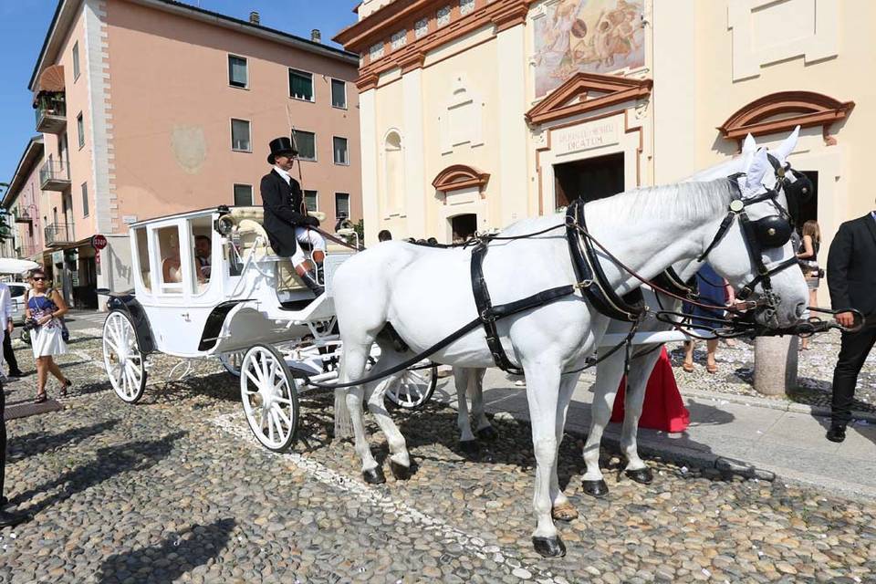 Sposa con Enzo Miccio