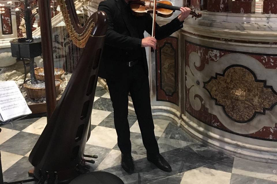 Violino Solista