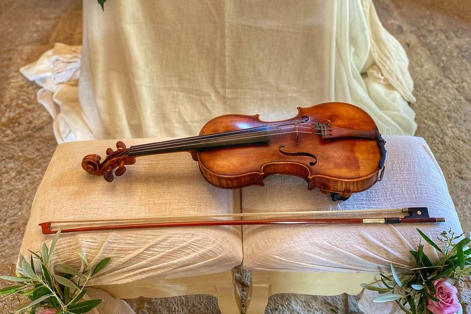 Duo arpa e violino Cattedrale