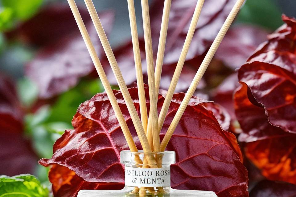 BASILICO ROSSO & MENTA