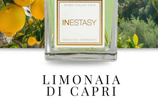 LIMONAIA DI CAPRI AGRUMATO