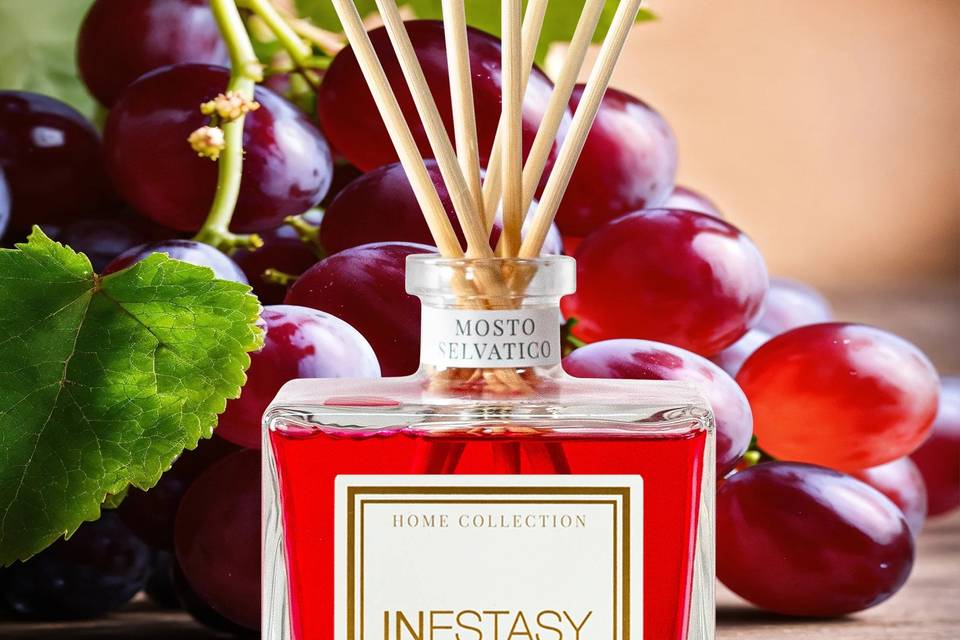 MOSTO SELVATICO DECISO DOLCE