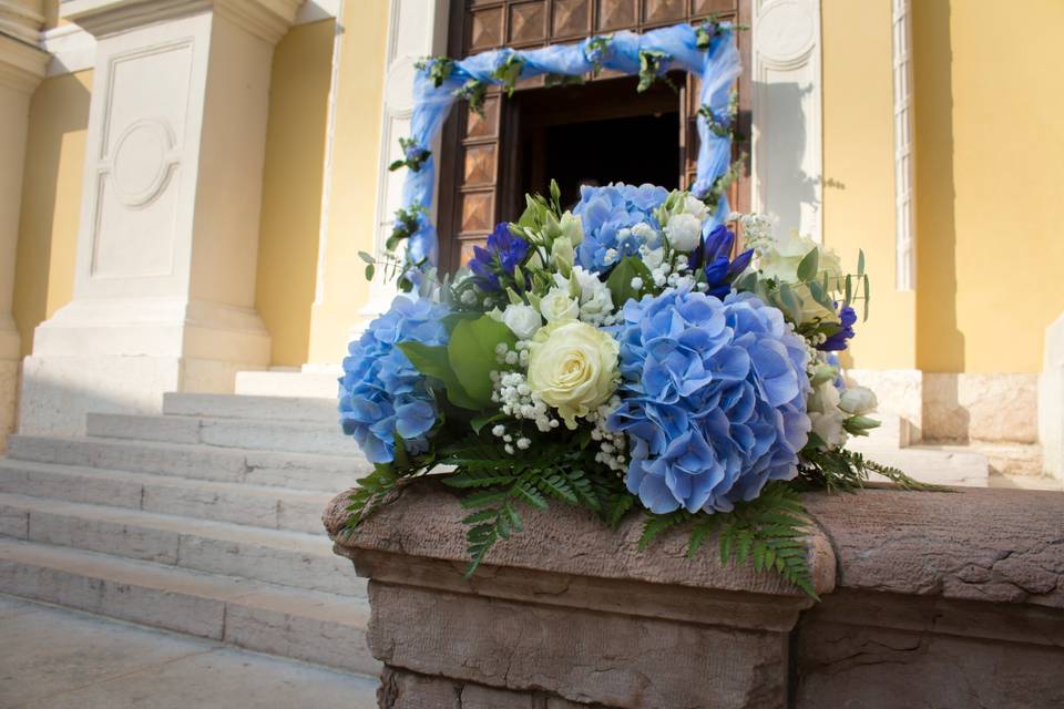 Il Giardino e il Fiordaliso Fioreria