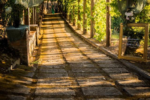 Viale verso la barricaia
