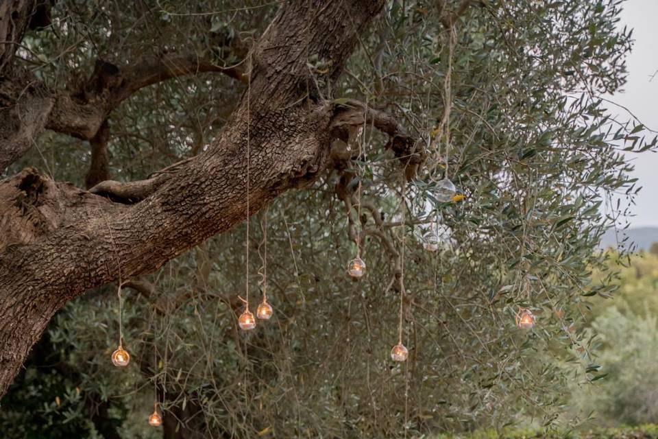 La confettata