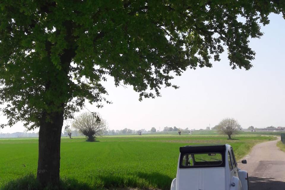 Citroën 2CV Sophie