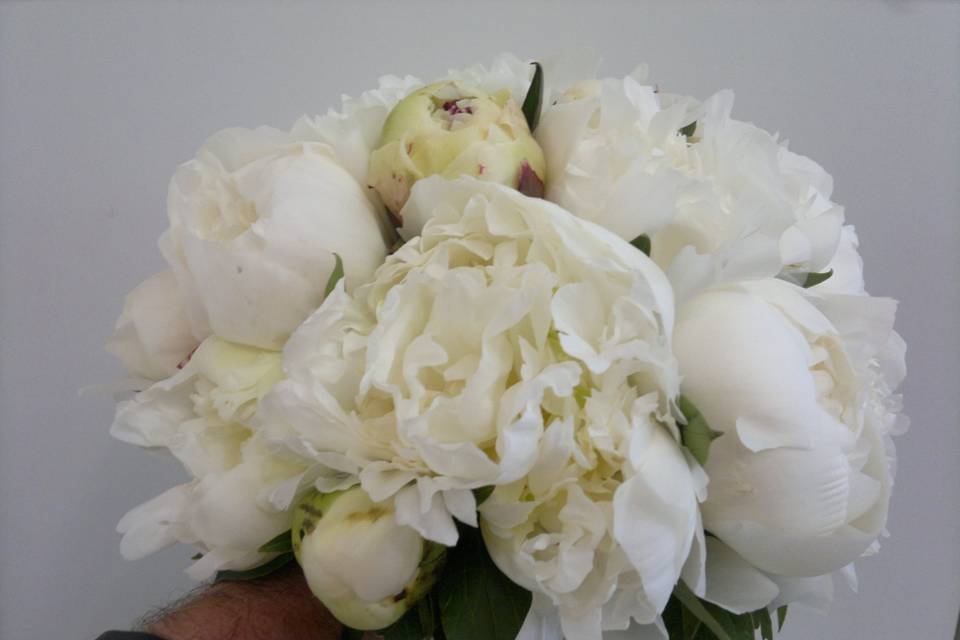 Bouquet Peonia