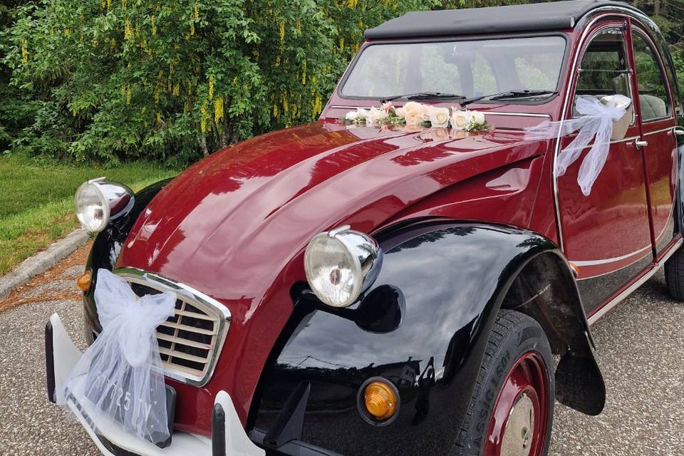 2cv