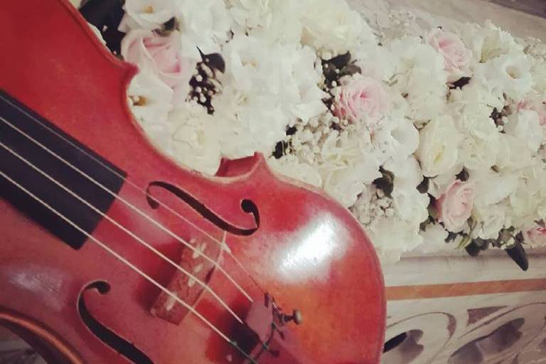 Violin - Wedding Music