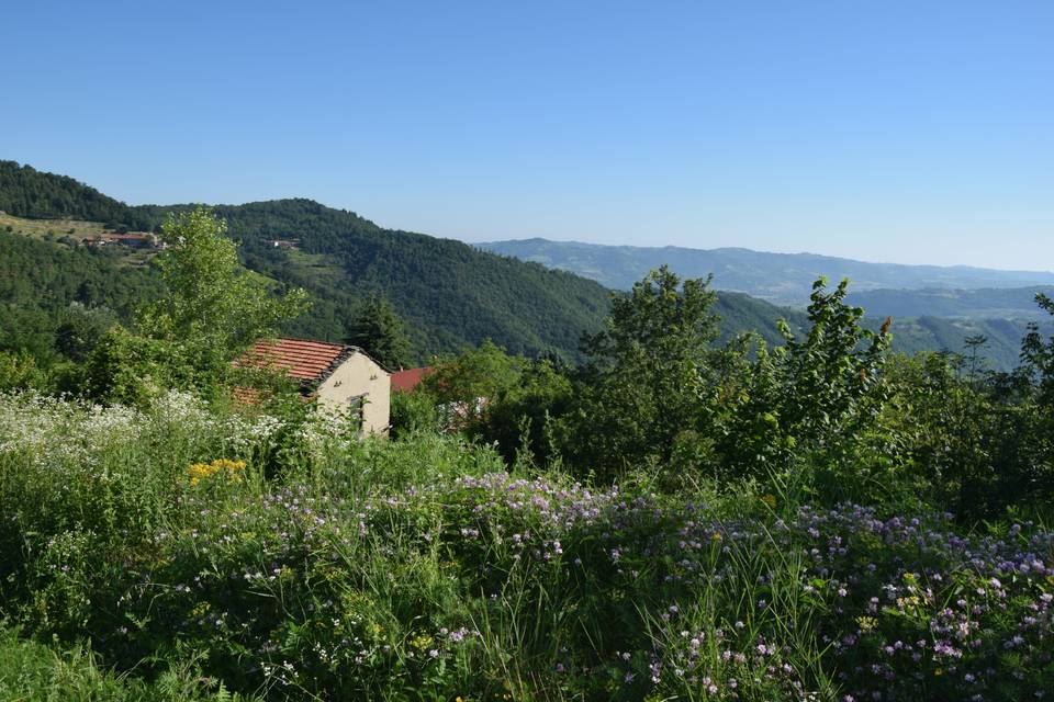 Isolati in mezzo alle colline