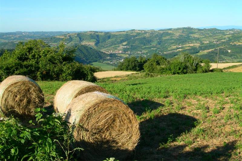 Borgo La Cascina Langa