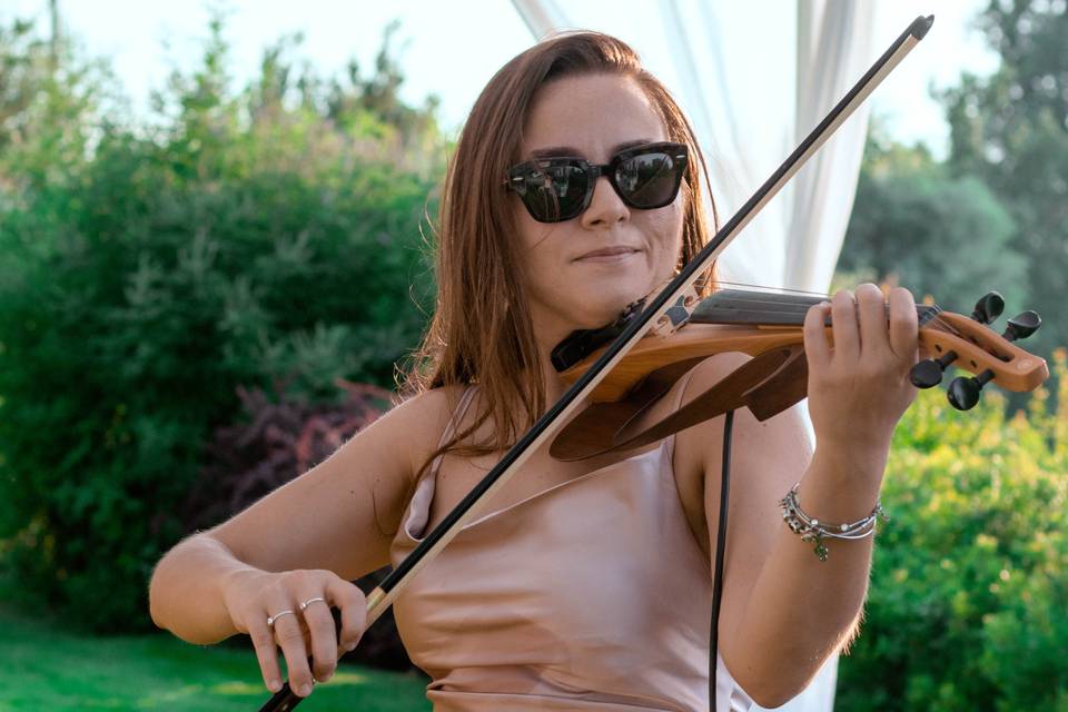 Violin