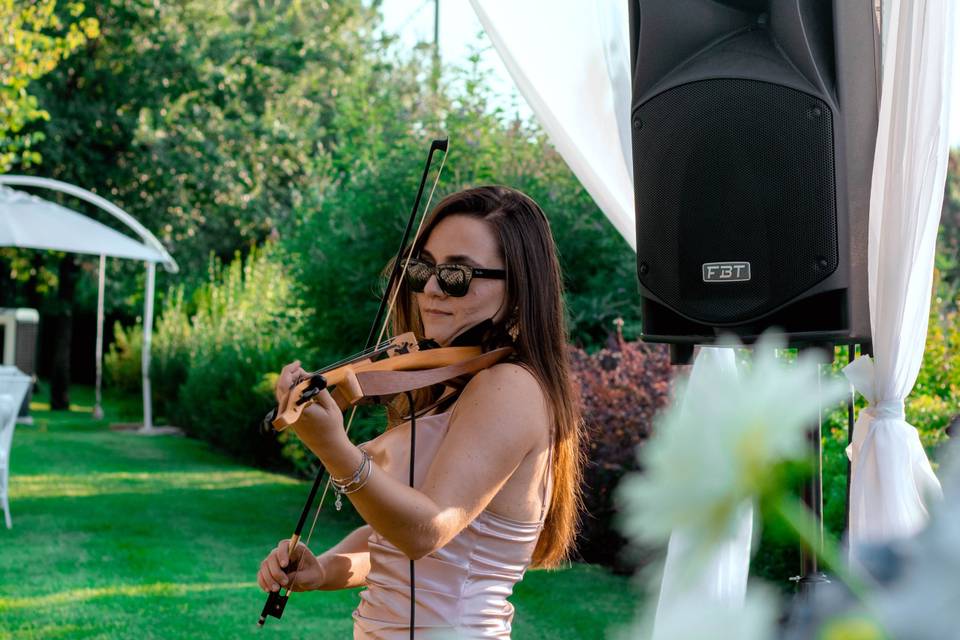 Violin