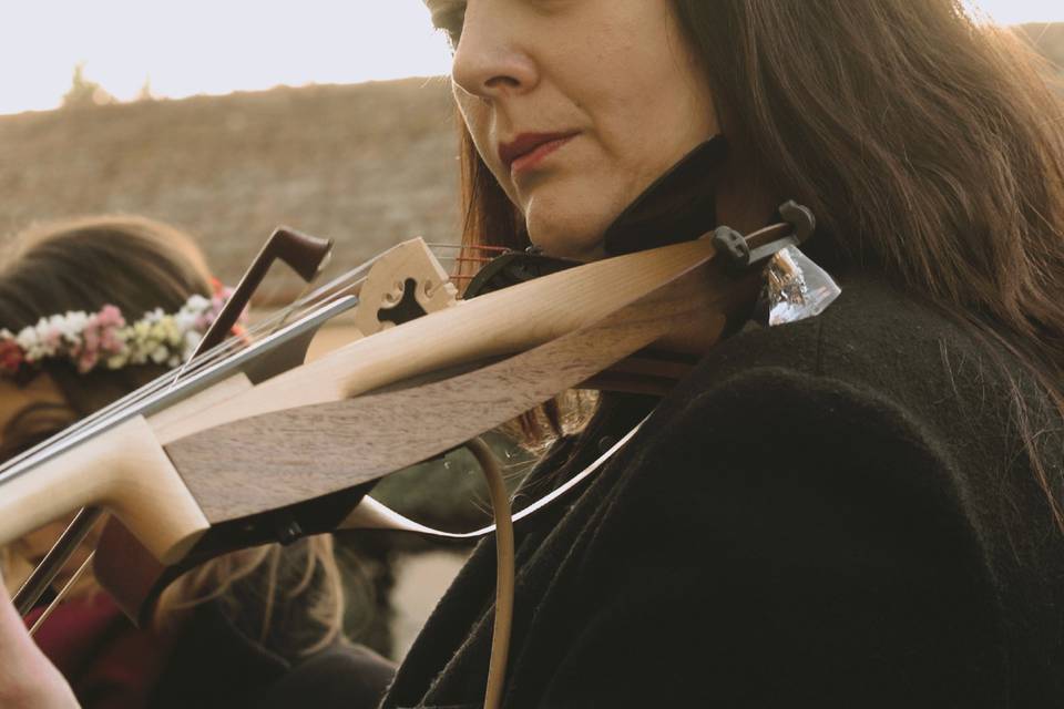 Violin