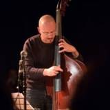 Alvise  Seggi