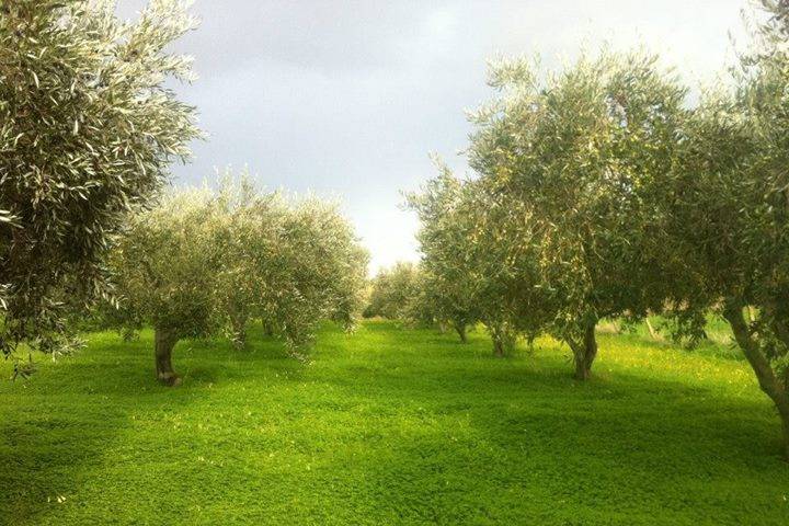 Agriturismo Ridocco