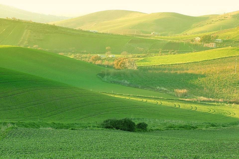 Agriturismo Ridocco