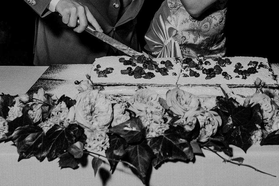 Cake Cutting