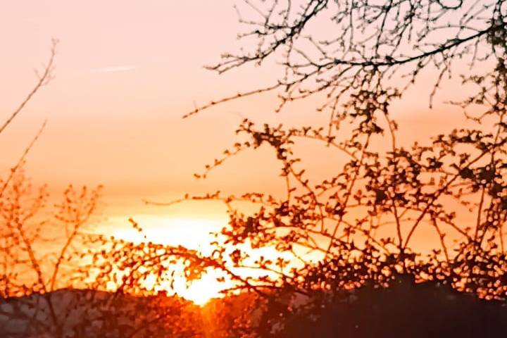 Golden hour