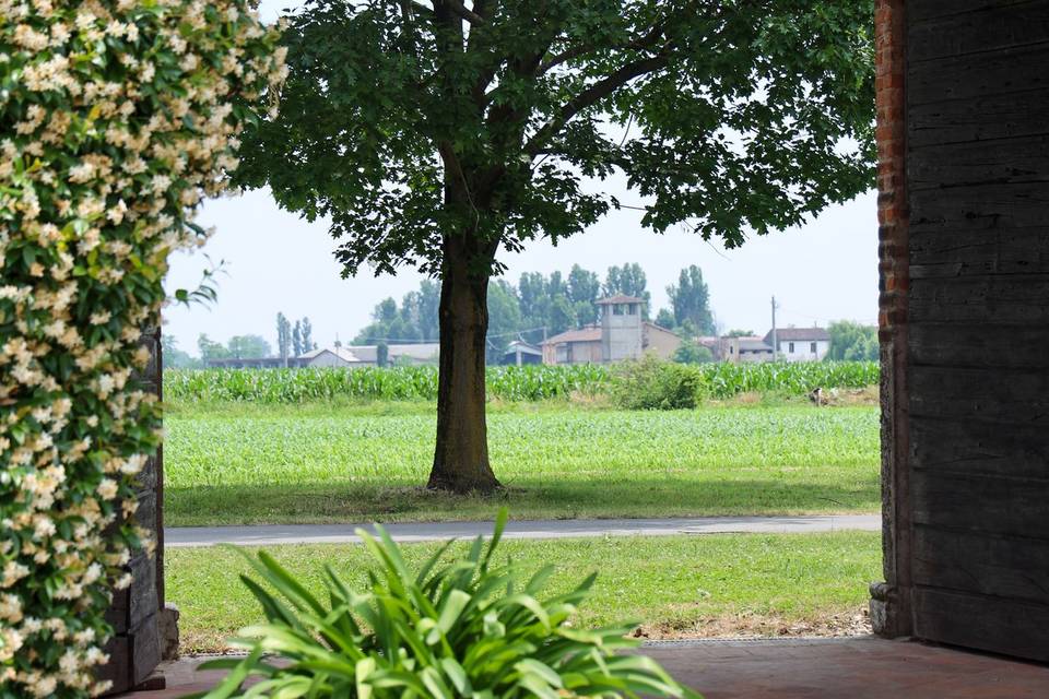 Paesaggio