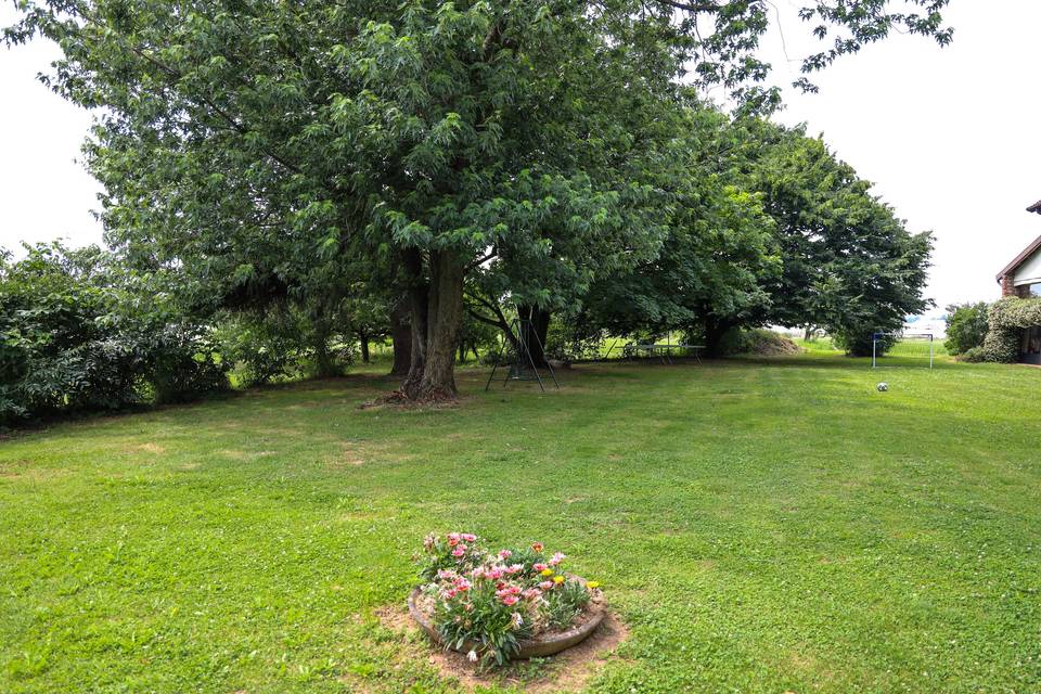 Giardino