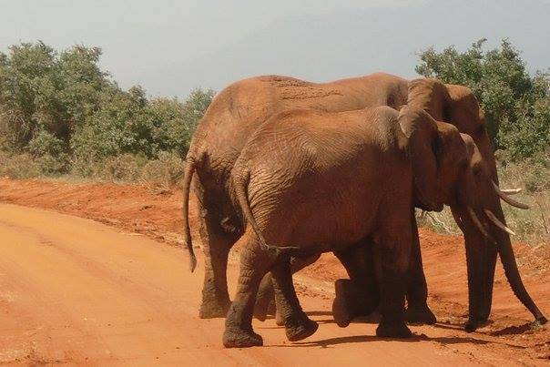 KikaTour Viaggi e Turismo