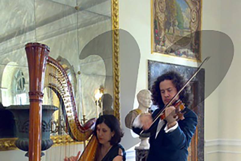 Arpa e violino