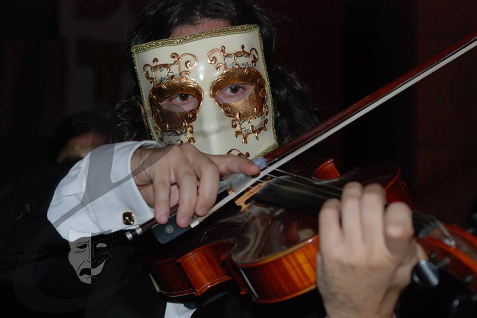 Violino