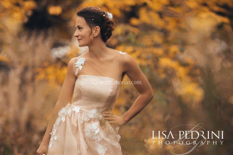 Lisa Pedrini Photography