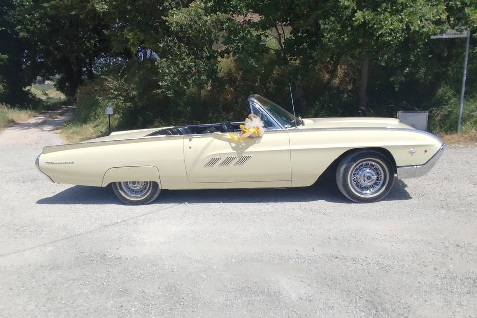 Privilegio - Decapottabile Ford T- Bird Roadster 63 - Cadillac 59
