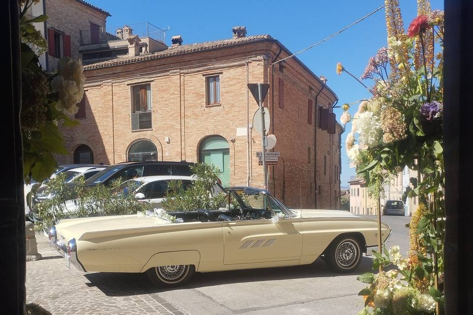 Wedding Filottrano/Le case