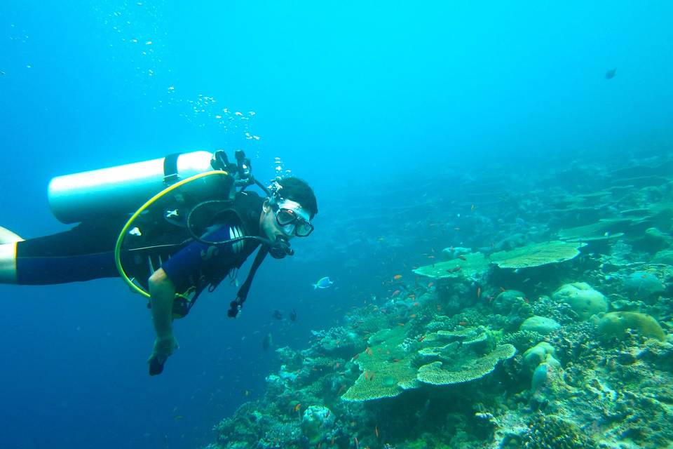 Immersioni Maldive