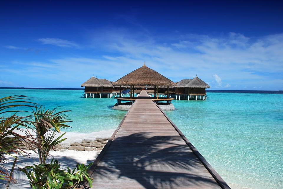 Maldive