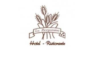 Logo Ristorante La Bergamina