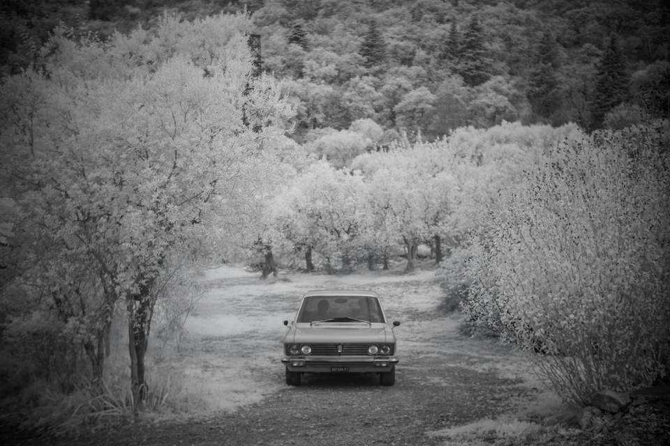 Fotografia a infrarossi