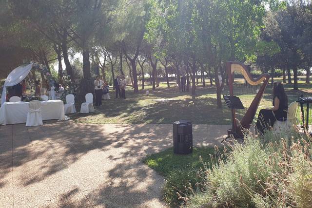 Rito civile - arpa classica